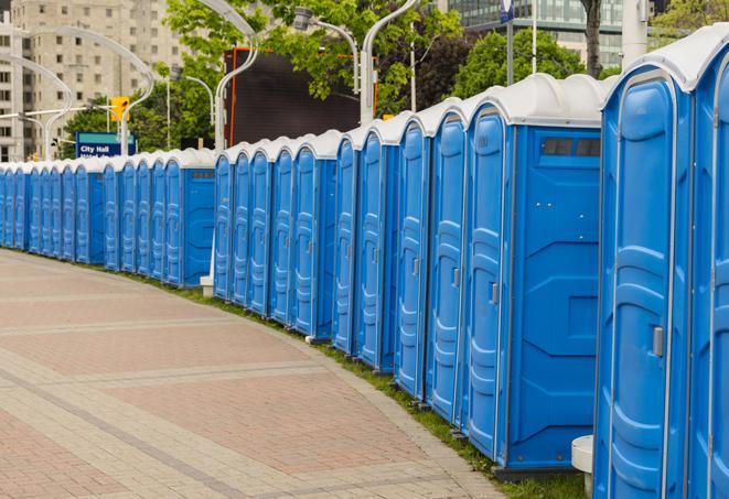 a fleet of portable restrooms ready for use at a large outdoor wedding or celebration in Brick